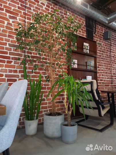 Вазоны, Горшки, Кашпо под заказ из бетона арт 117