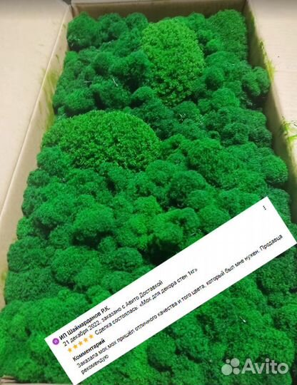 Стабилизированный мох для декора стен панно