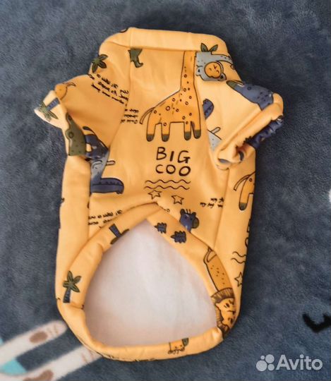 Одежда, обувь для собак