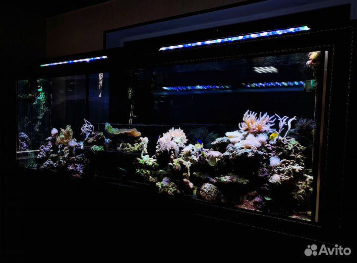 Аквариум и все для аквариума