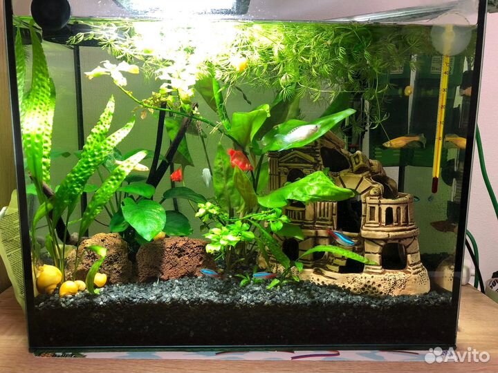 Декорация в аквариум