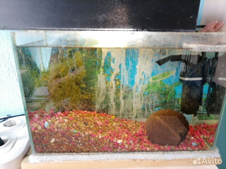 Аквариум