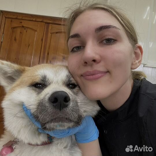 Ветеринарный врач на дом