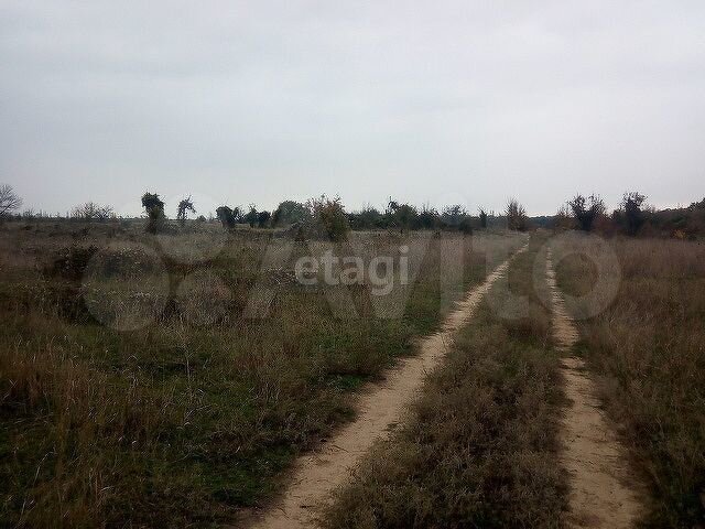 Участок 6,1 сот. (СНТ, ДНП)