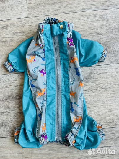 Одежда для собак