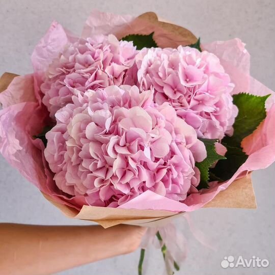 Гортензия. Букеты. Цветы с Доставкой