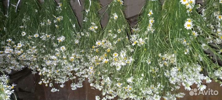 Веники травяные, душистые букеты для дома и бани