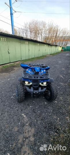 Avantis Hunter 8 new