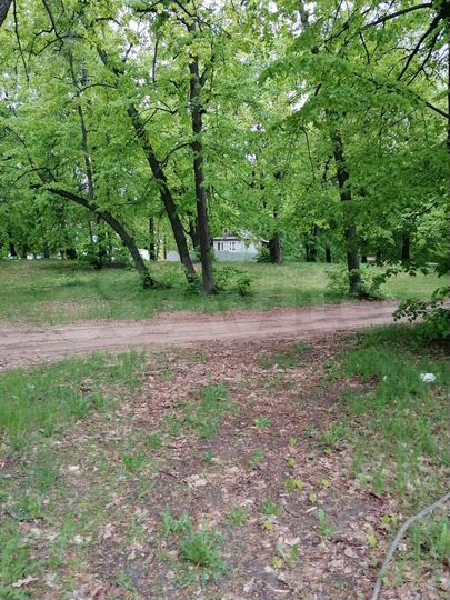 Дом 36 м² на участке 7 сот.