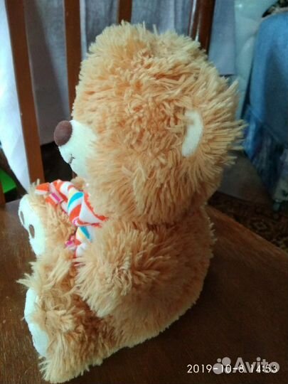 Новые Медведи