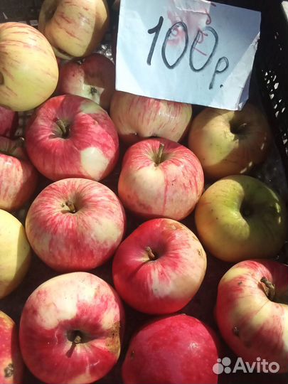 Груша, и яблоки