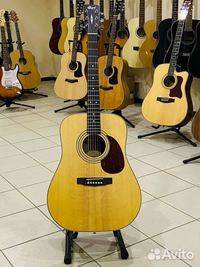 Гитара акустическая новая cort earth70-OP массив