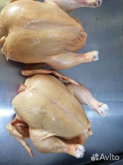 Продам мясо домашней говядины, свинины, курицы