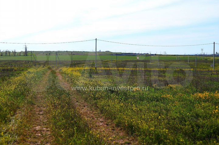 Участок 6 сот. (ИЖС)