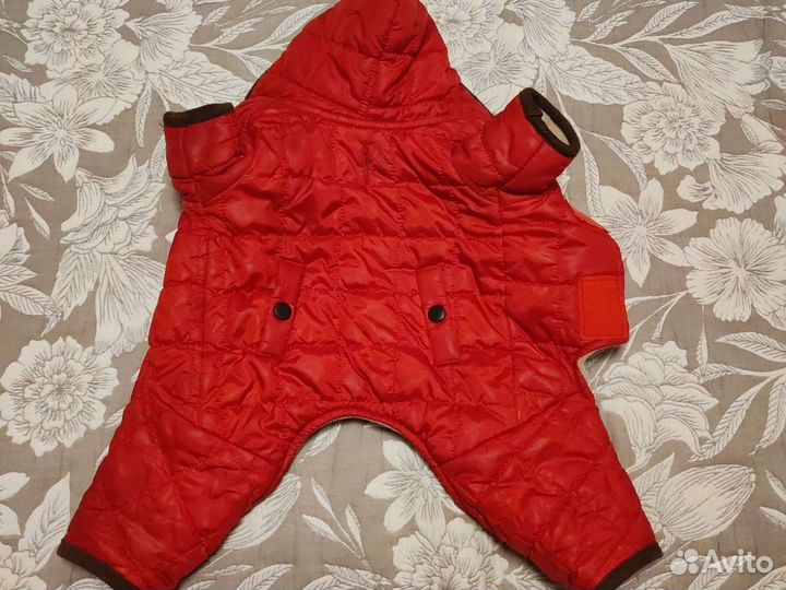 Комбинезон для маленькой собаки