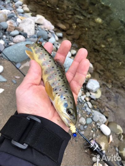 Производство рыболовных приманок и ароматизаторов