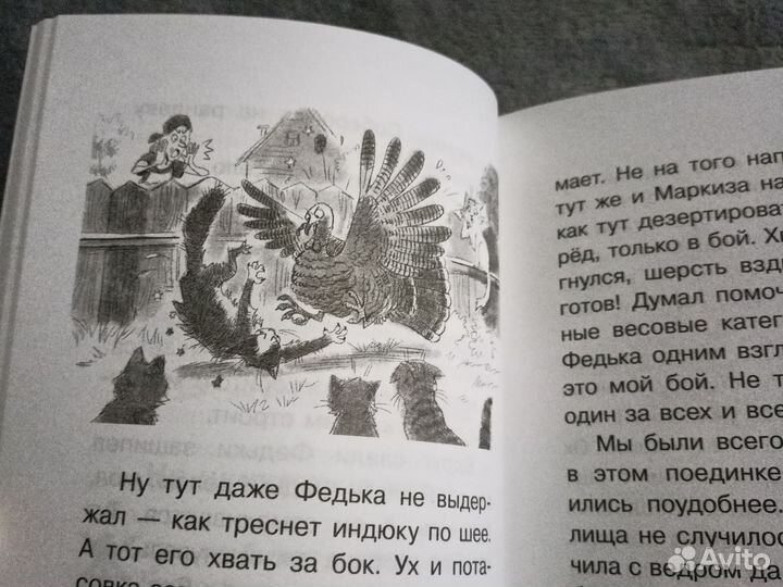 Екатерина Залесская. Книга Котовасия