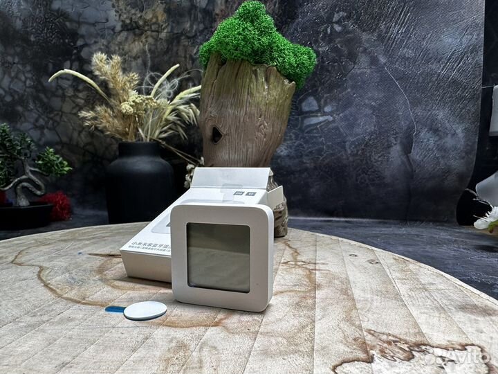 Термометр электронный Xiaomi