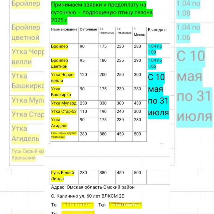 Предоплата на суточную птицу