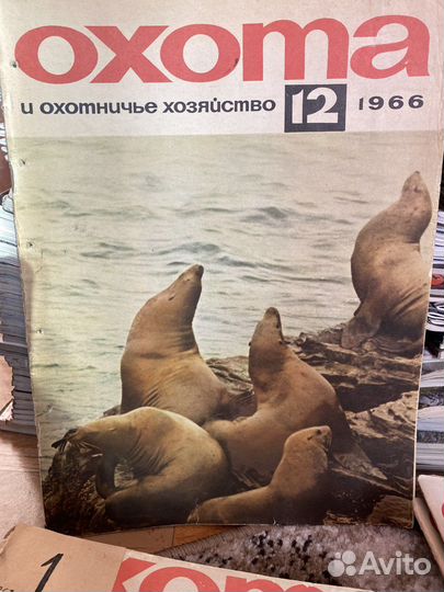 Журналы Охота и охотничье хозяйство