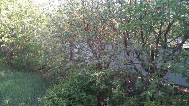 6-к. квартира, 118 м², 2/2 эт.