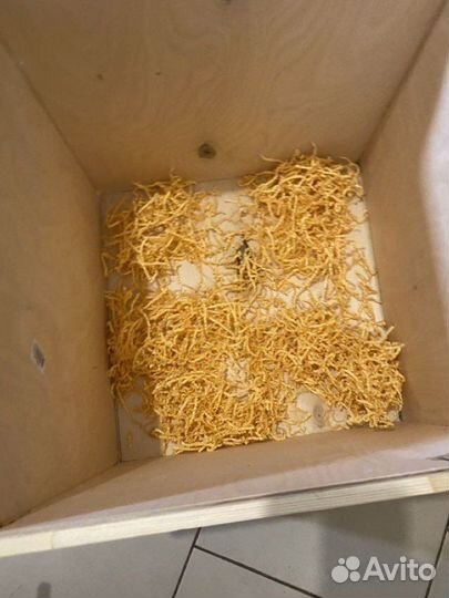 Деревянный ящик с крышкой