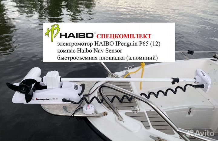 Электромотор Haibo iPenguin комплект SV В наличии