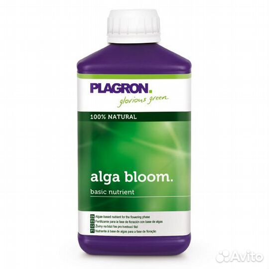 Plagron Alga bloom 500 ml