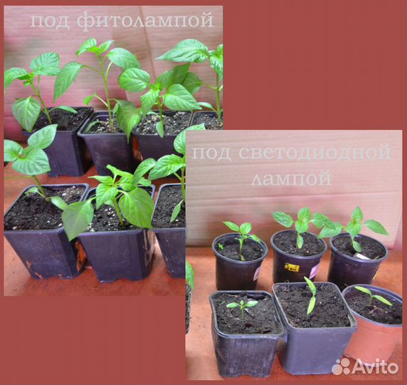 Фито светильник для растений