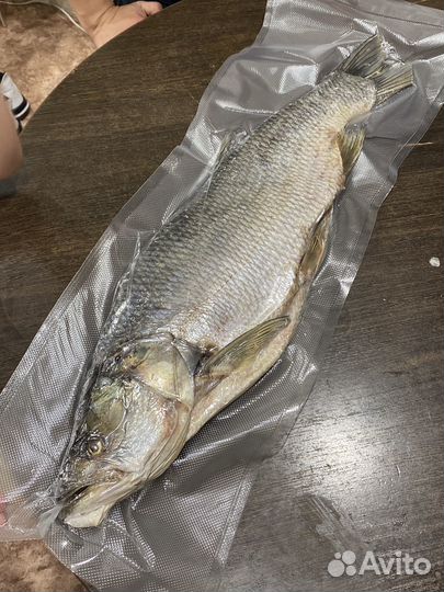 Жерех вяленый