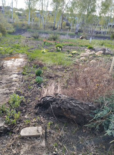 Участок 10 сот. (СНТ, ДНП)