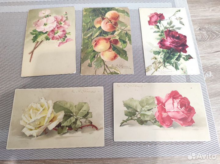 Открытки Катарины Кляйн