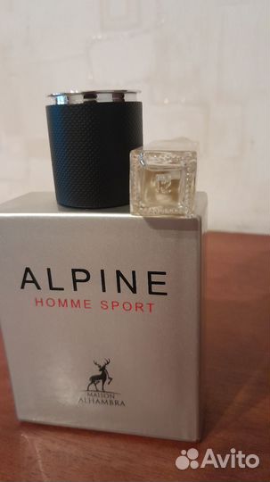 Alpine homme sport