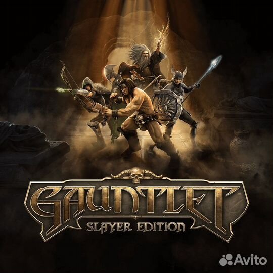 Gauntlet: Slayer Edition PS4/PS5