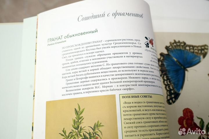 Книга мода на ботанику