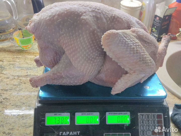 Мясо домашней индейки