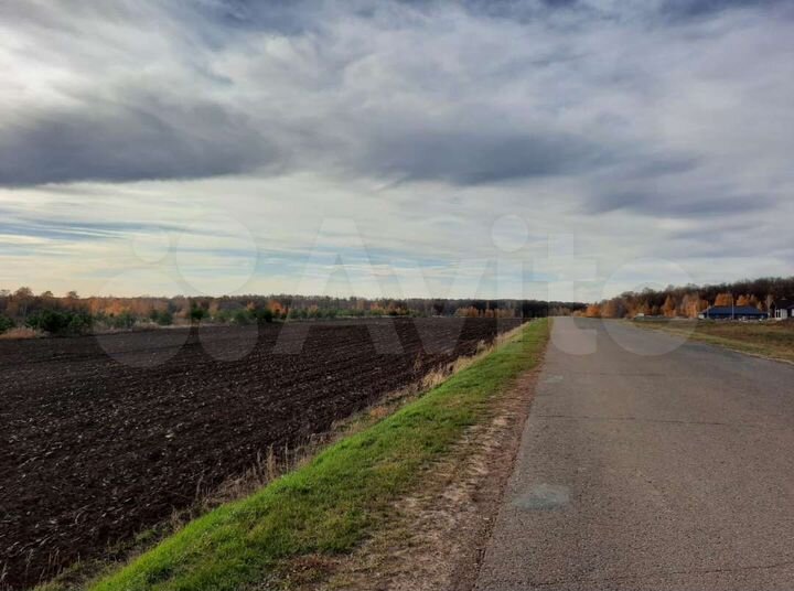 Участок 4,2 га (ИЖС)