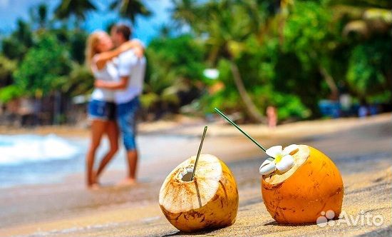 Шри-Ланка – отдых