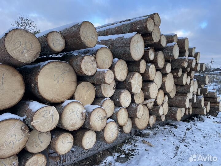 Пиловочник лес кругляк