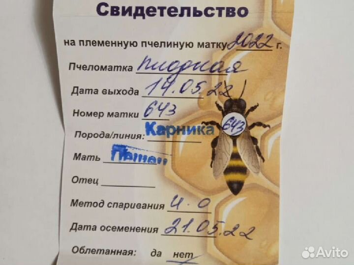 Пчелосемьи, Пчелопакеты, Пчеломатки