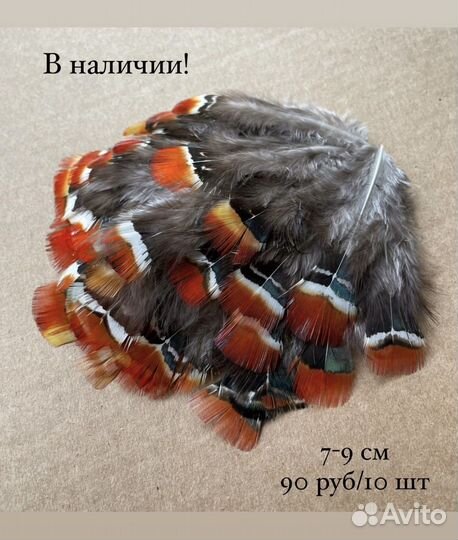 Набор перьев фазана для творчества