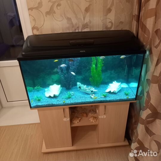 Аквариум с тумбой aquael