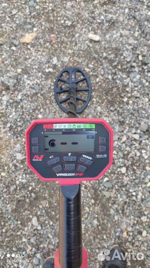 Minelab Vanquish 540