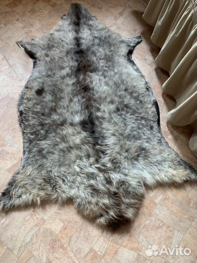 Шкура натуральная редкая 127на70 см