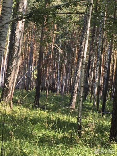 Участок 96,27 га (СНТ, ДНП)