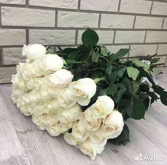 Розы гиганты 140 150 160 170 180 200