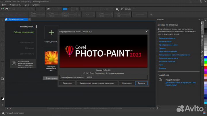 Coreldraw Graphics Suite 2022