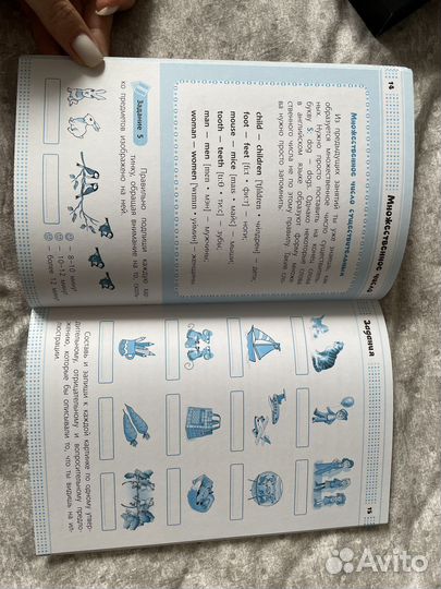 Правила английского языка