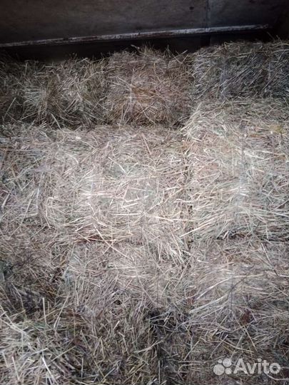 Сено в тюках + доставка