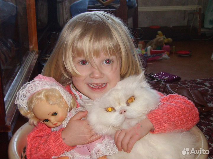 Зооняня, догситтер, кэтситтер